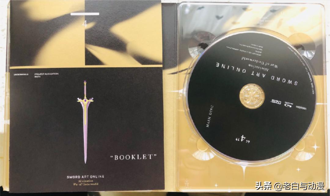 刀剑神域终章篇两个世界融合,刀剑神域不知道的细节