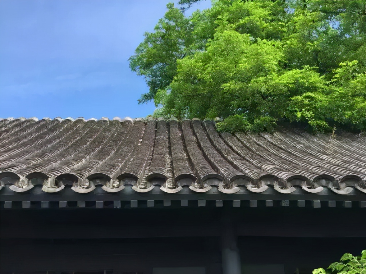 租乡下院子的乡村生活,把生活过成诗的院子