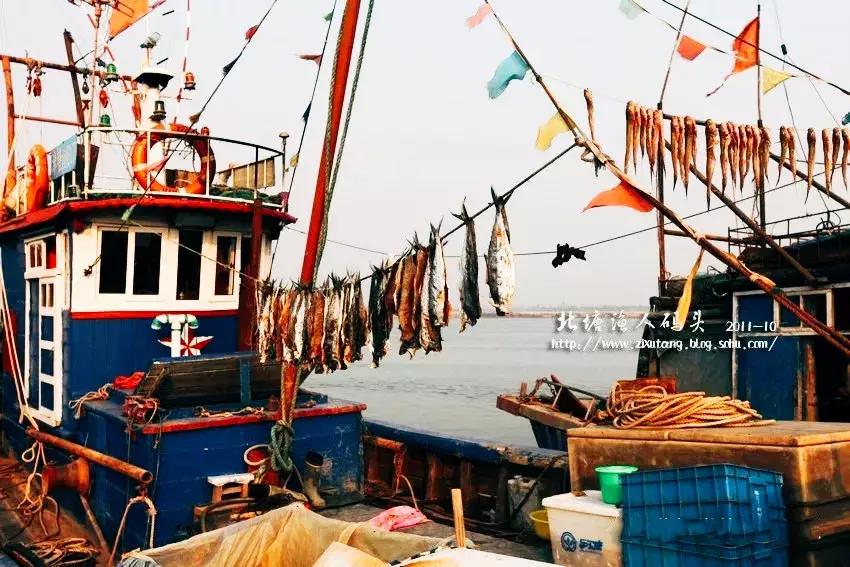 有一种炫富叫青岛开海,有一种炫富叫青岛开海了