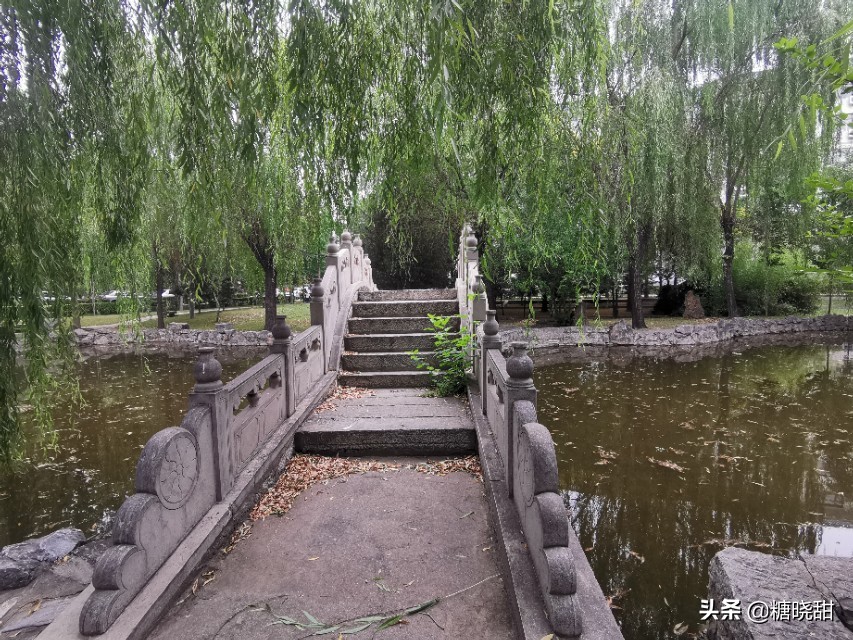 访问藏身医院的“解放区最高学府”，裂变出多所985双一流名校