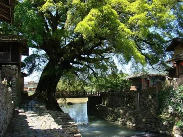 漳州南靖云水谣旅游攻略几公里,福建漳州南靖云水谣之旅