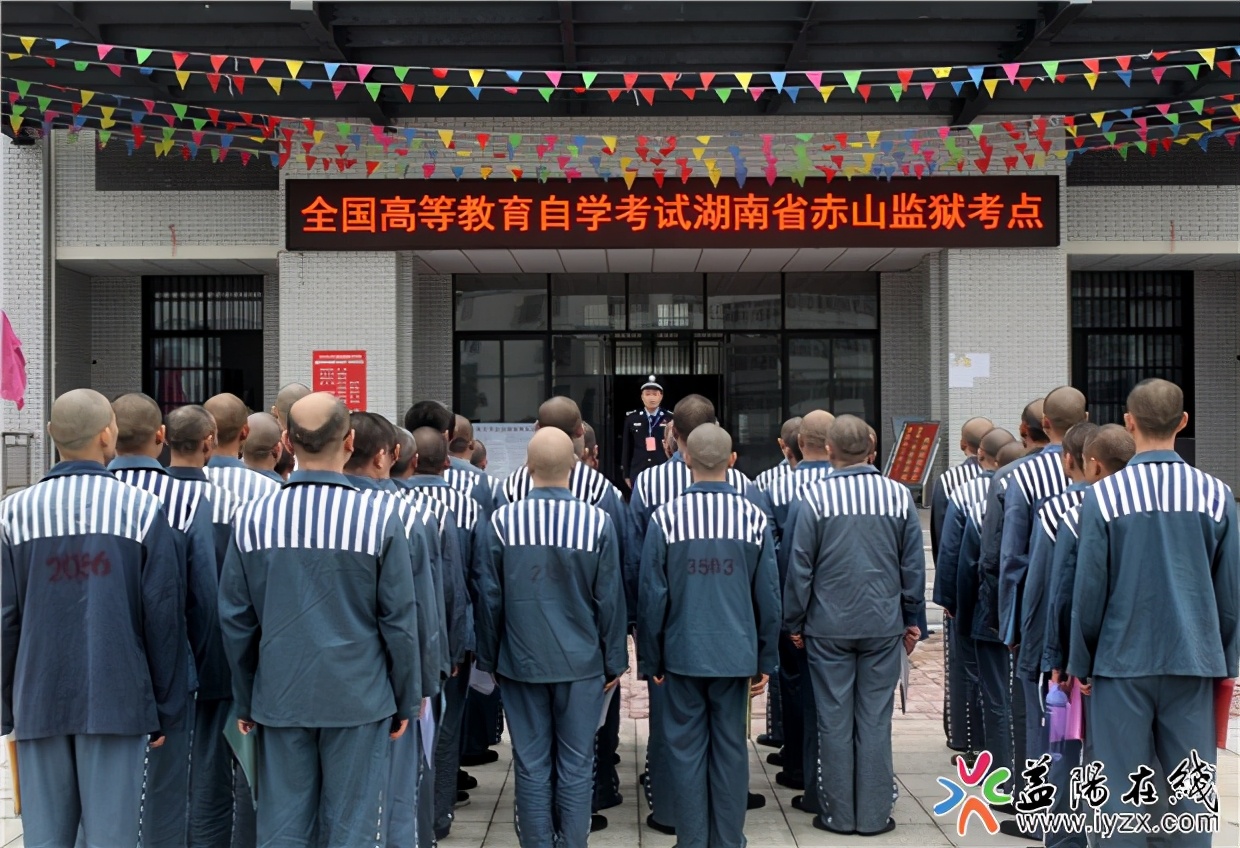 如何有效打击毒品犯罪,打击贩毒有哪些法律条文和举措