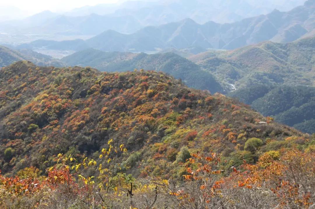 重阳节登高山,重阳节登高好去处