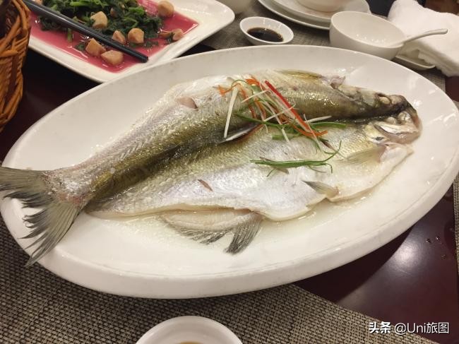 海外华人2019故乡行:去看看水漫金山的镇江金山江天禅寺,这个才是真正的金山寺,它今年真的没有被淹