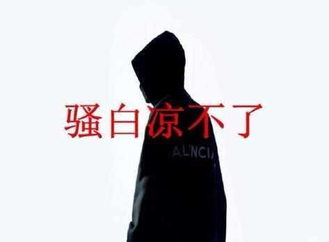 王者荣耀骚白不打职业,王者荣耀骚白和九天狐什么关系