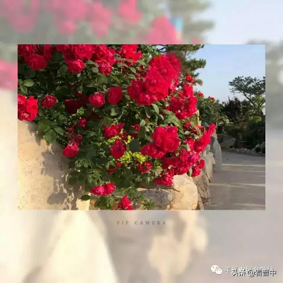 晋中婚宴,晋中旅行图文日记