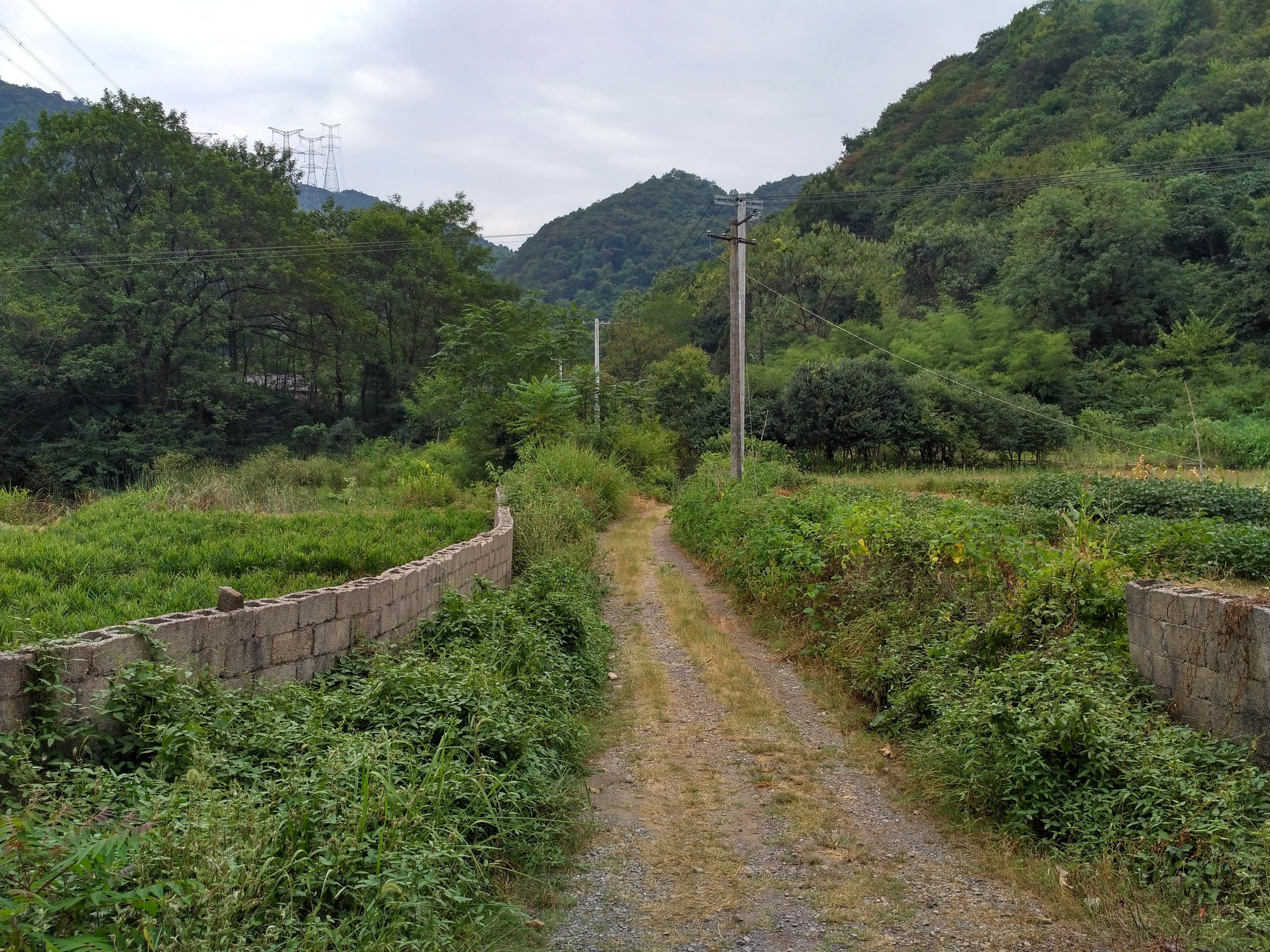 铜陵市义安区天门镇龙云村,安徽铜陵龙云村