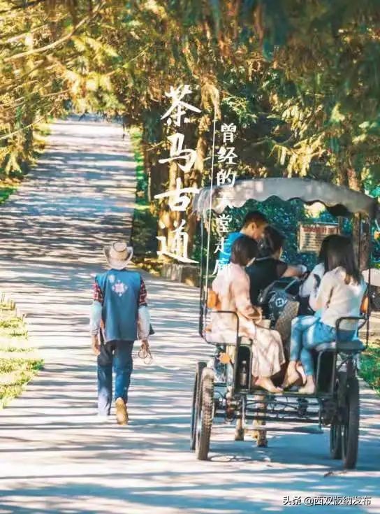 勐海旅游攻略自由行路线图,中国旅游日云南西双版纳