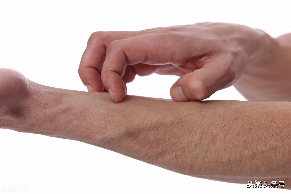 贵州有毒的植物,贵州有毒的野果有哪些