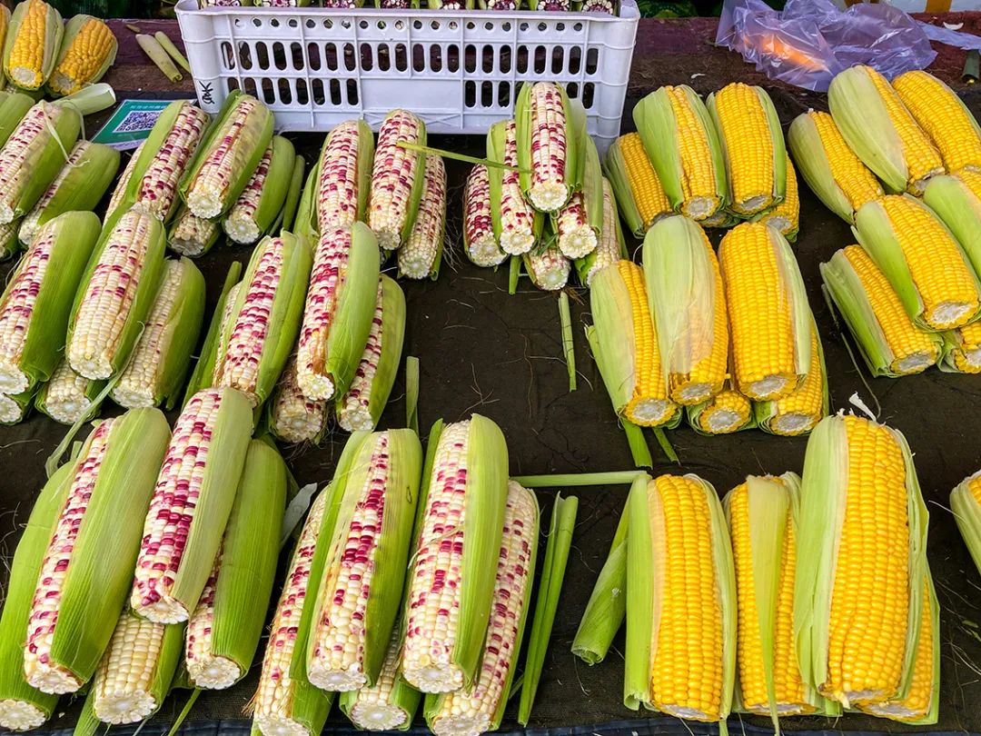 不错挺便宜的早市,附近比较旺的早市