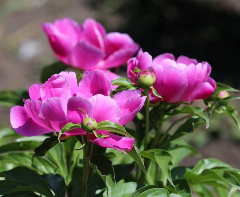 长春有名的旅游打卡地,长春春天打卡景点