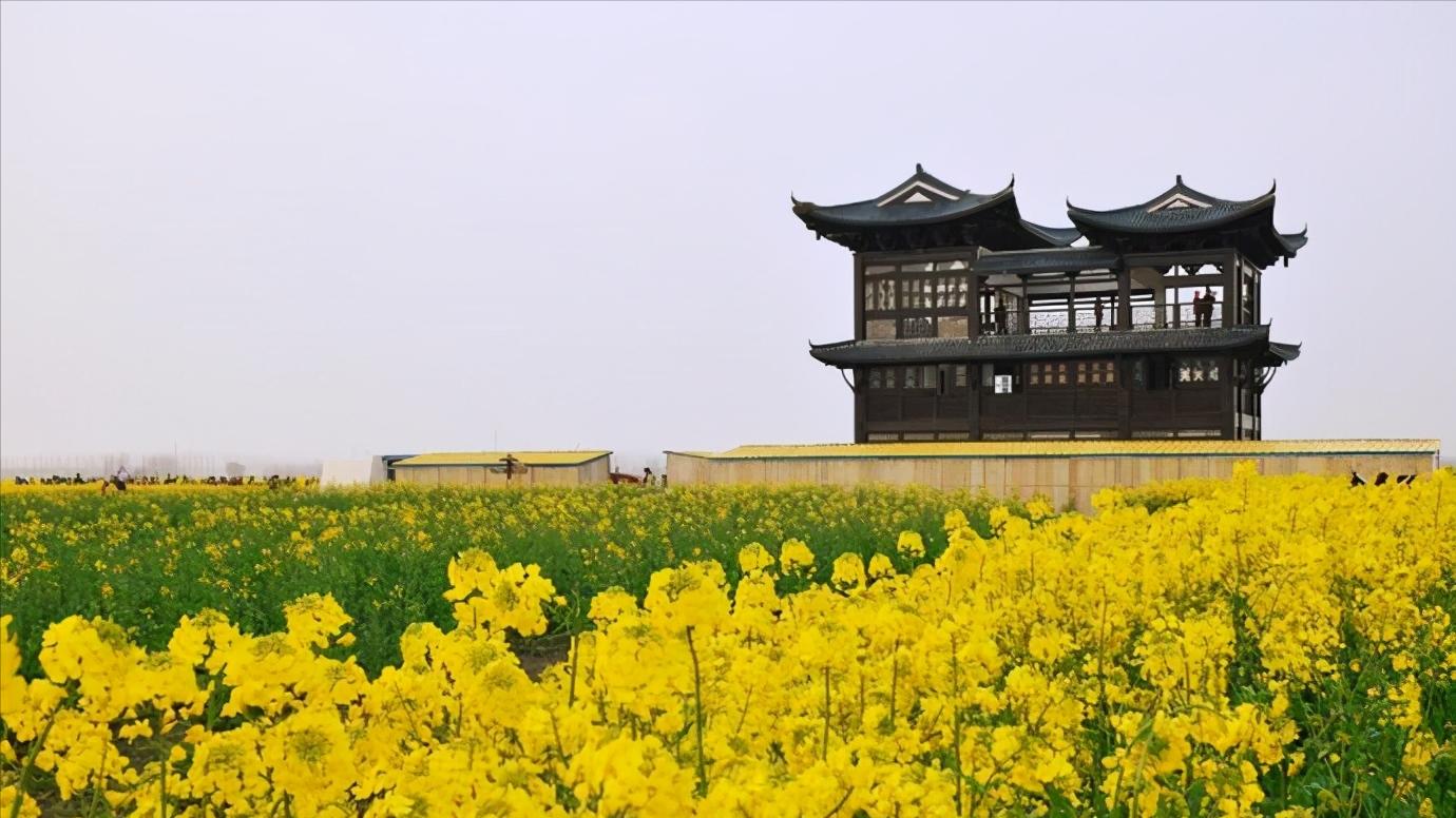 江苏省泰州市区域划分图,江苏泰州市属于华南还是华东