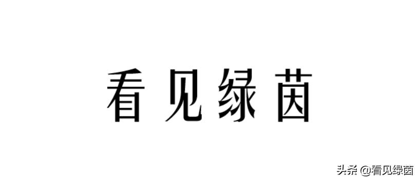 菜鸟去球场打球怎么办,菜鸟野球场实用技巧