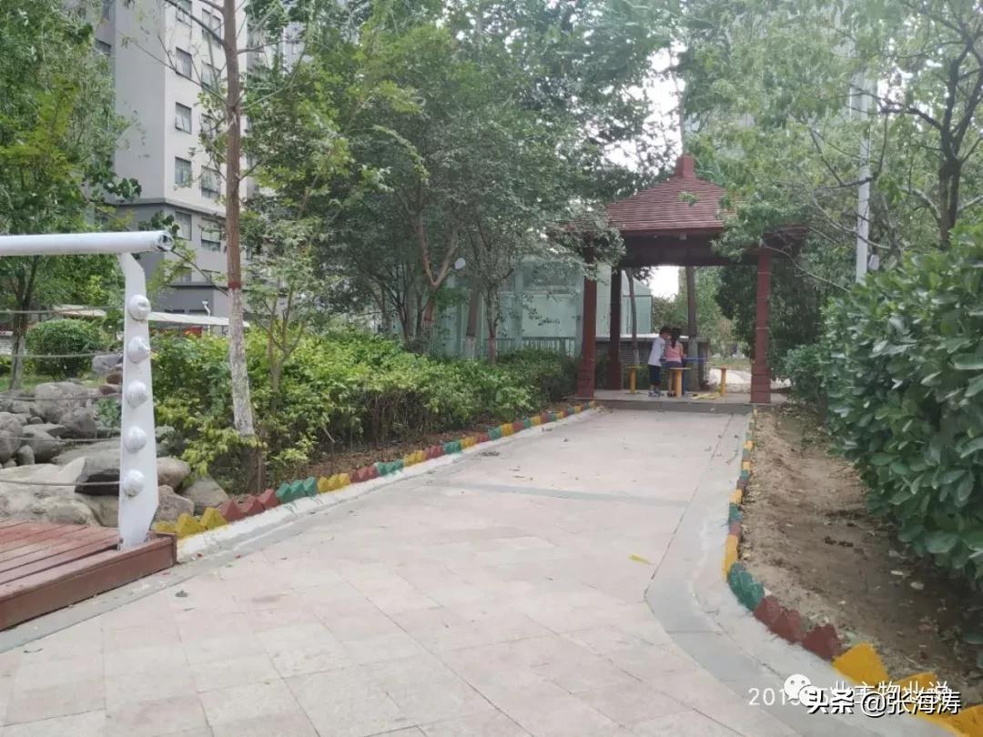 赞！旧貌换新颜，只因小区有了业主大会