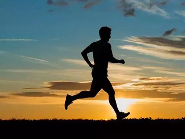 用绿色行动共建美丽家园ppt,用生态行动共建我们的绿色家园