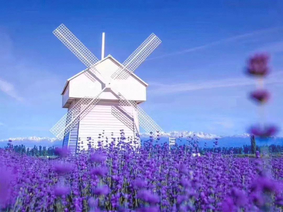 新疆北疆和南疆哪里好找工作,新疆北疆和南疆哪个工资高