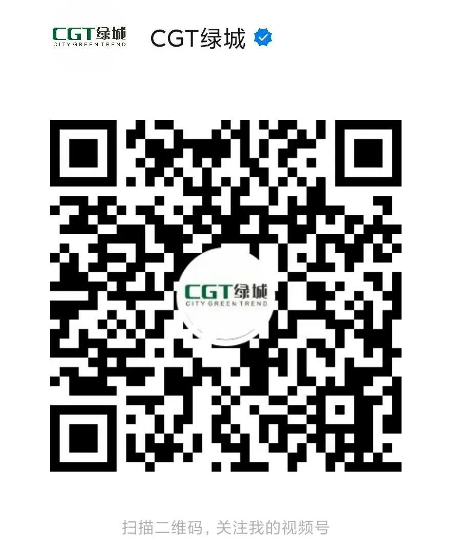 cgt鐩存挱,cgt鐩存挱瑙傜湅