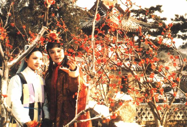 红楼梦妙玉的性格是怎么形成的,红楼梦妙玉与黛玉的关系