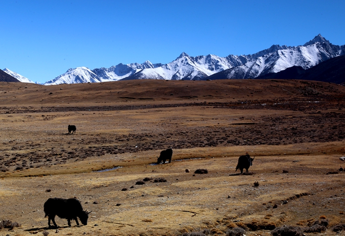 西藏珠峰四天旅游攻略,西藏珠峰四日游最美