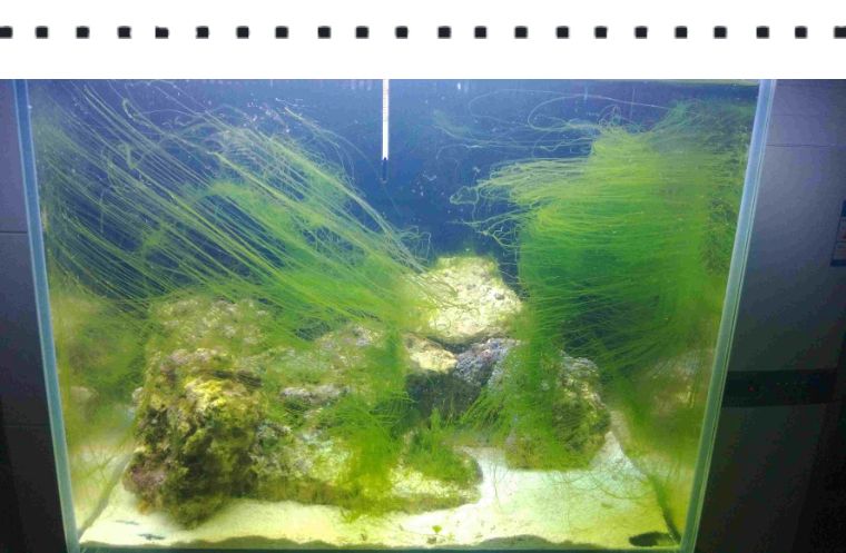 刚入光遇的萌新要知道什么,新入坑的萌新要随时保持警惕