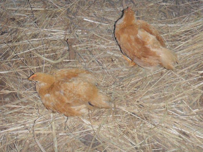 1973年，辽宁一位知青被保送大学后入狱，出狱后成亿万富翁