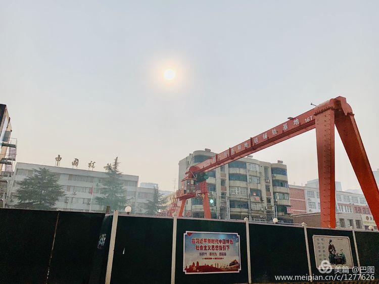 涧西牡丹广场老照片,洛阳牡丹手机拍照