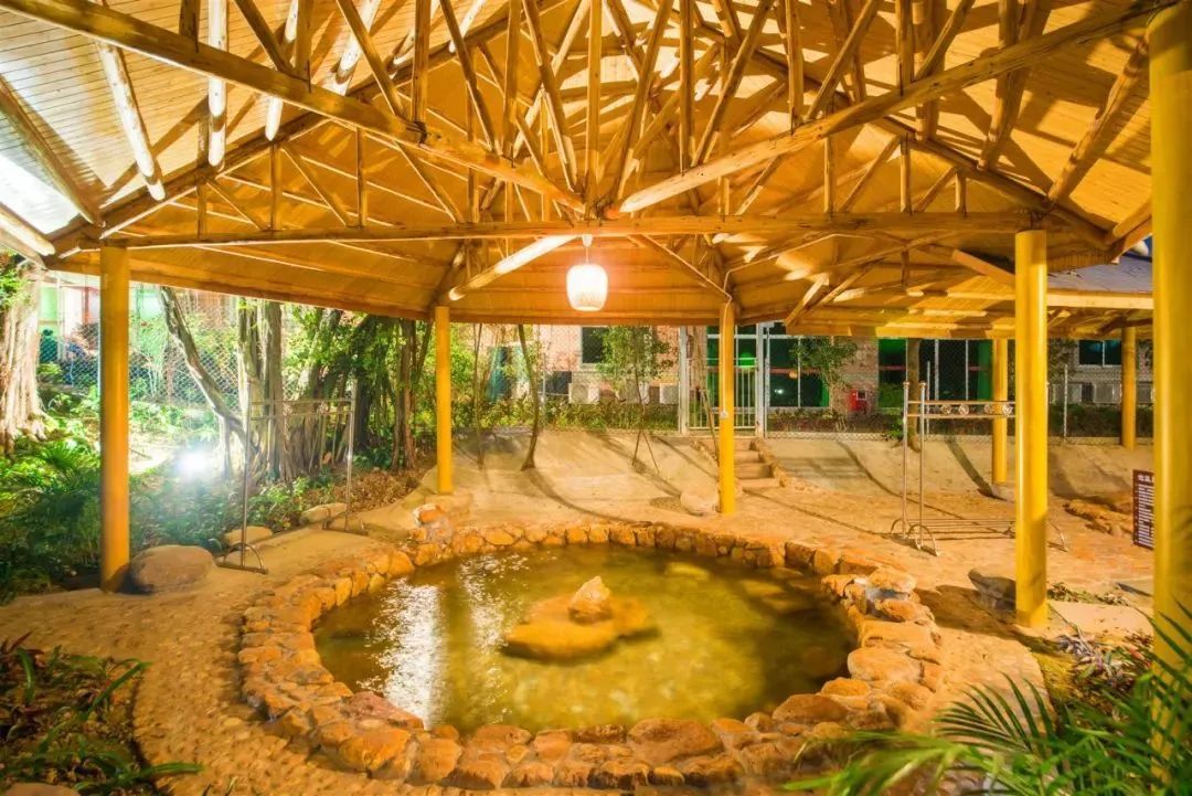 清远温泉攻略大全,清远有哪些温泉值得推荐