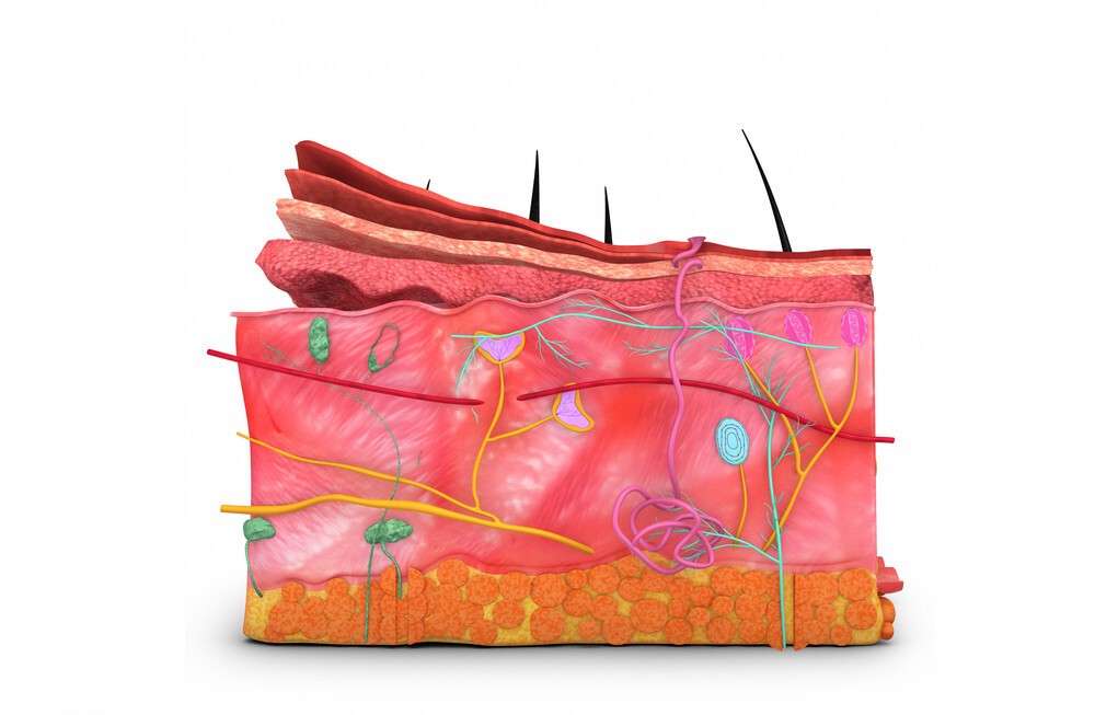 冬天皮肤痒怎么办,医生冬天皮肤痒最快解决方法