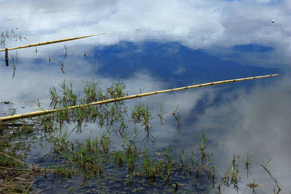 钓友公认十款最好渔具,让无数钓友梦寐以求的10款渔具