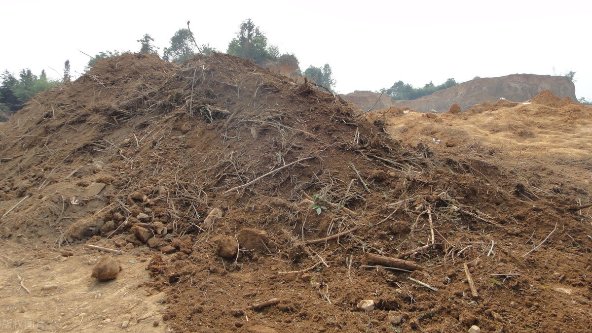 五千印记,三五印记