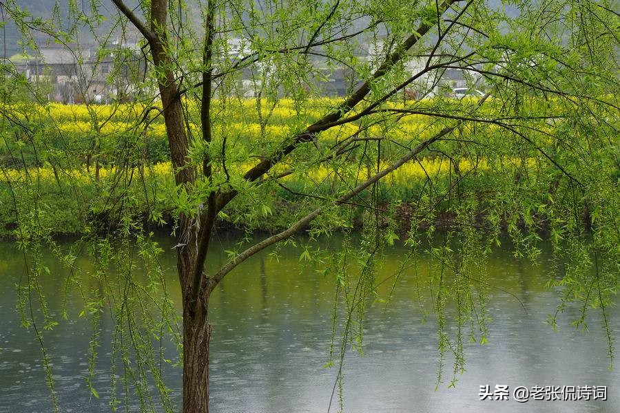 北宋宰相写春天柳树，28字宋诗无一“柳”字，却处处有柳树的影子