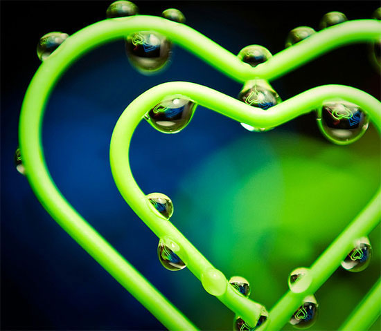 「摄影小白学习篇」3个拍出浅景深的简单技巧