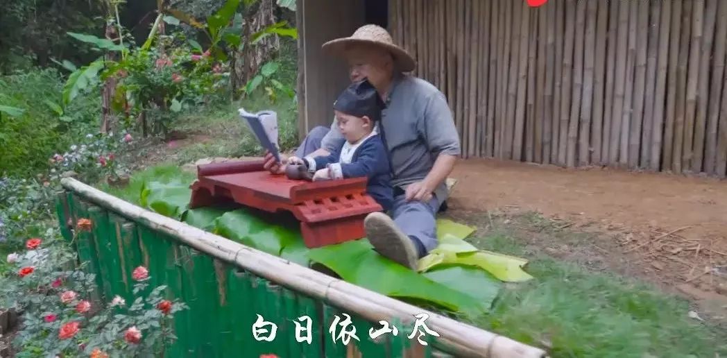 爷爷版李子柒视频评价,农村小伙子李子柒视频