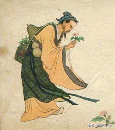 探访李时珍的医学智慧与传世经典,李时珍神医传奇给我们的启发