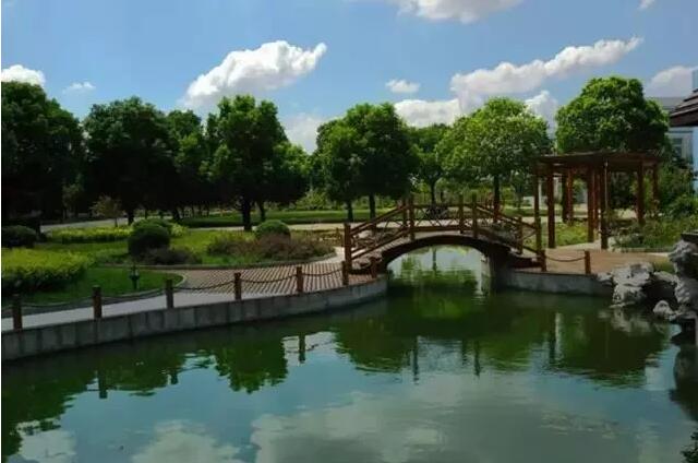 昆山最厉害的10所小学曝光,昆山十大高中