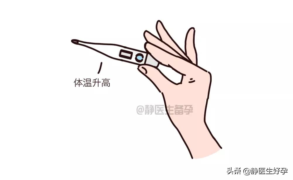 静医生黄金备孕方案,静医生备孕官网