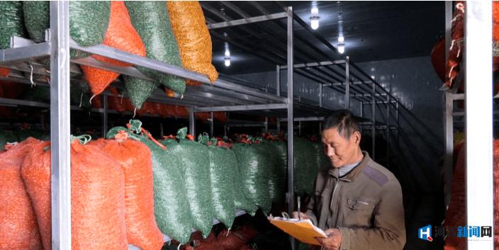 邢台南和农业有什么致富路 (邢台市中药材种植扶持力度)