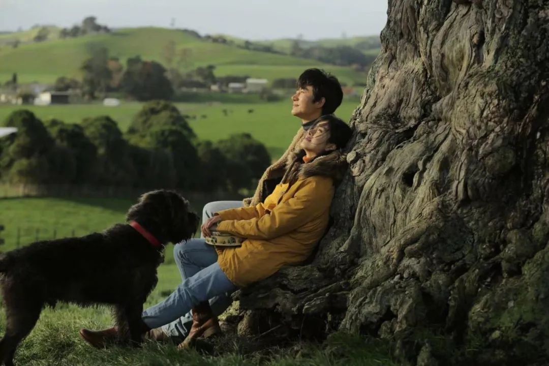 冯小刚徐帆爱情片段,冯小刚和徐帆真实生活