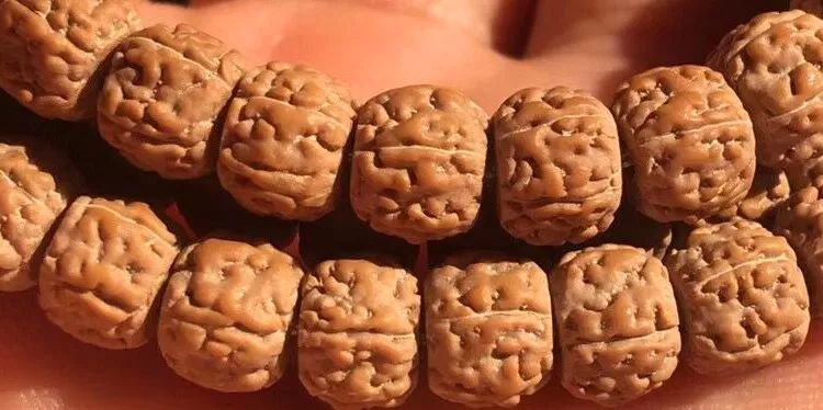 小金刚菩提梅花纹路什么价位,小金刚菩提什么纹路的最好