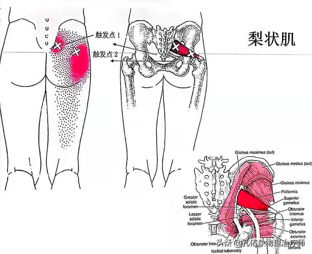 老年人腿脚无力要怎么避免,专治老年人下肢无力的方法