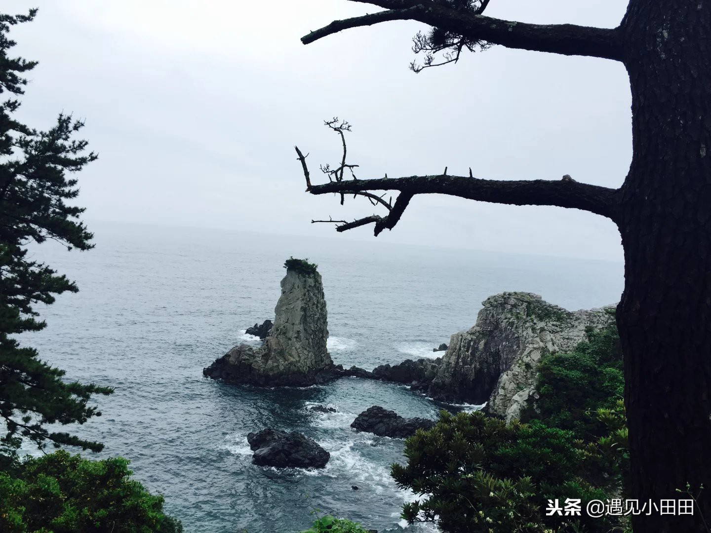 韩国自由行旅行攻略视频,韩国首尔自由行必买清单