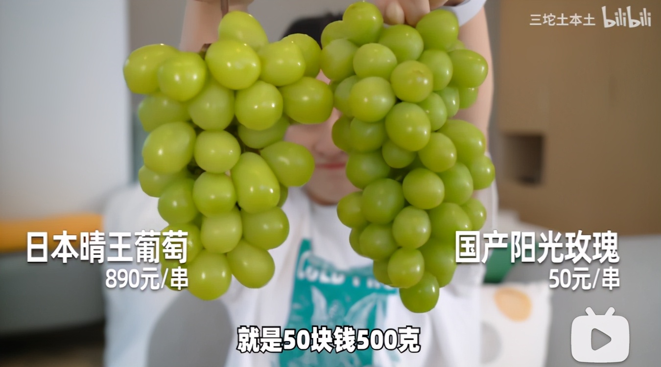 晴王和阳光玫瑰是一个品种吗,日本晴王葡萄和阳光玫瑰的区别