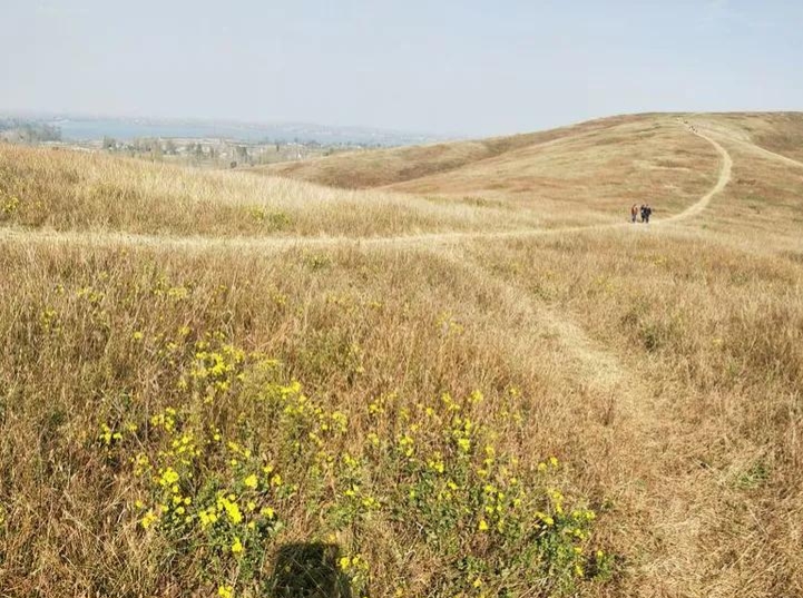 想不通就去爬山看海吧,呼伦贝尔大草原自驾游攻略