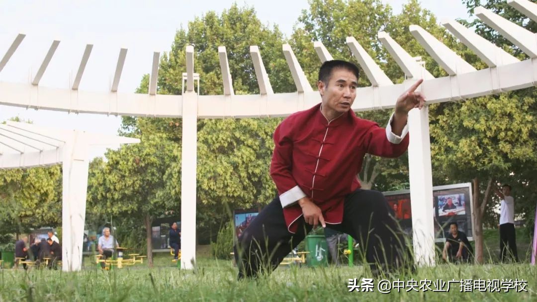 田间示范秀养鸡视频,田间示范秀节目