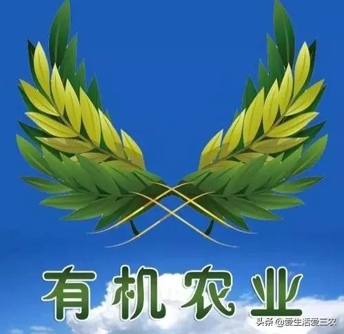 如何在农村创业好项目推荐,5个适合乡镇致富的创业点子