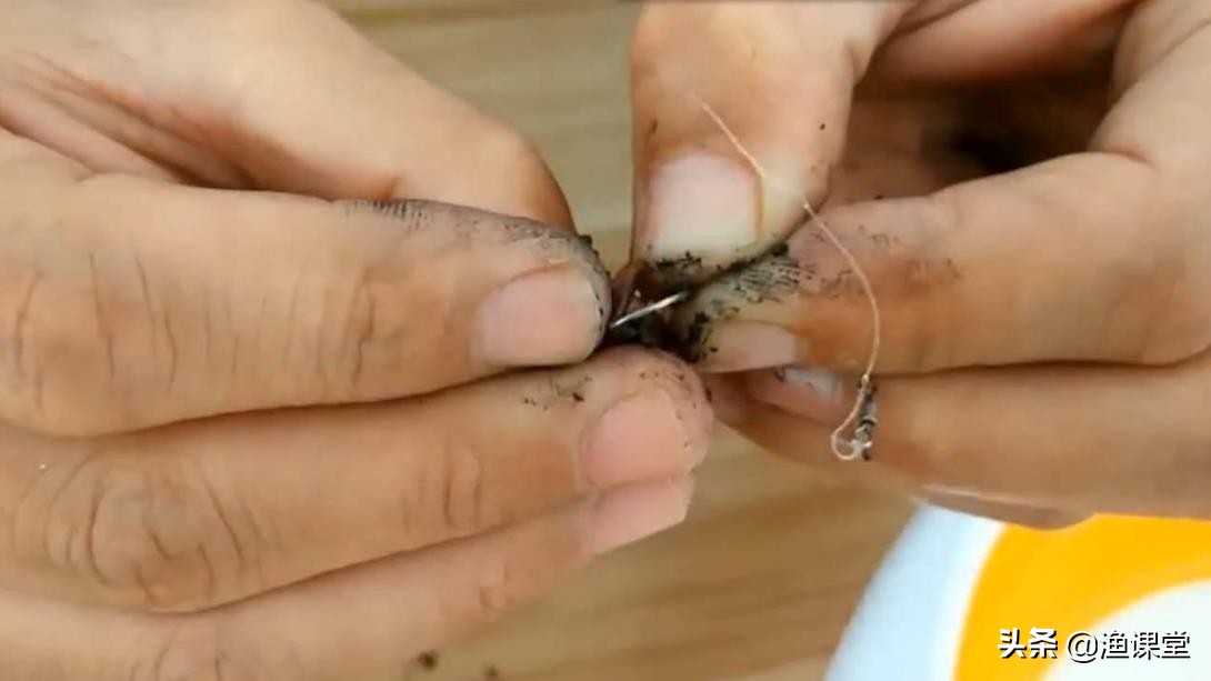 钓鱼挂蚯蚓的正确方法图解,钓鱼正确挂蚯蚓方法