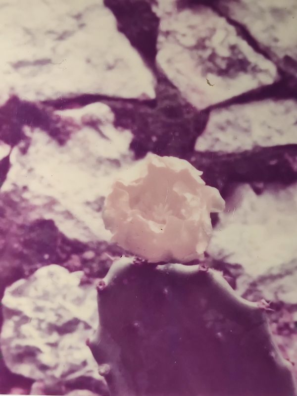 一个摄影爱好者的所有器材,摄影器材的终极之路