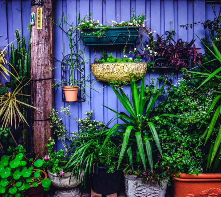 美美的壁纸图片,漂亮唯美图片壁纸