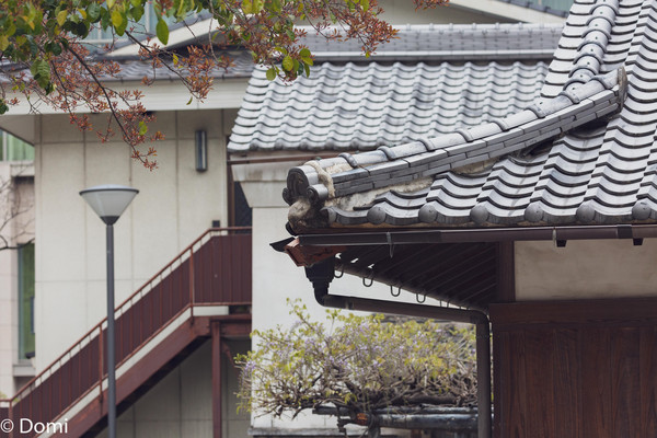 享受旅行的一天,享受旅行品味生活