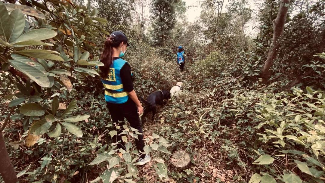 小男孩切东西不小心切到自己的手,儿子切水果时不小心割到手指